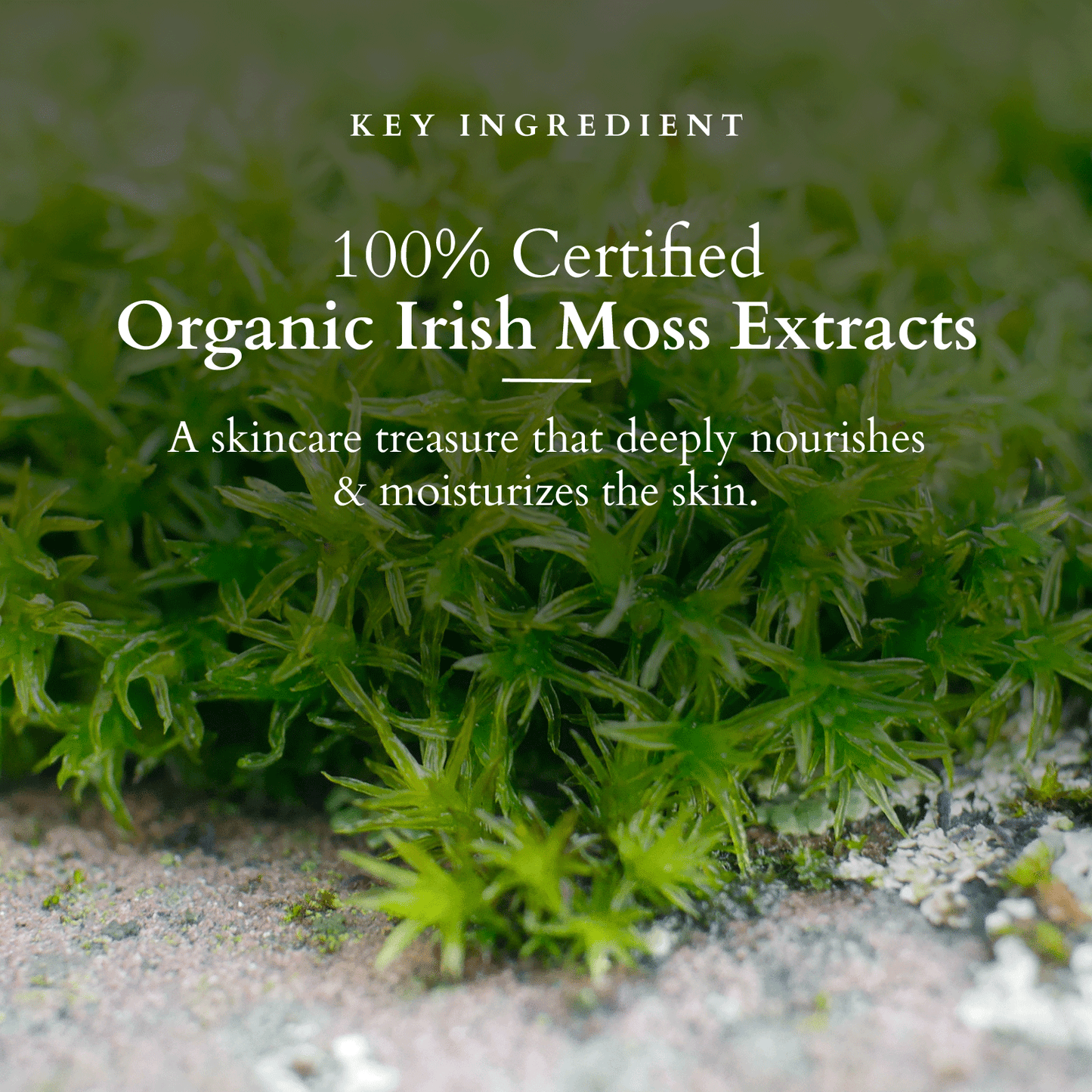 Divine Nourish Face Wash 