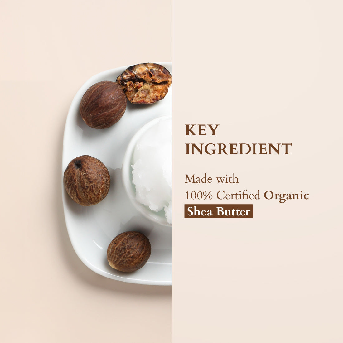 Organics+ Shea Luxe Tinted Moisturiser 40g / Dark