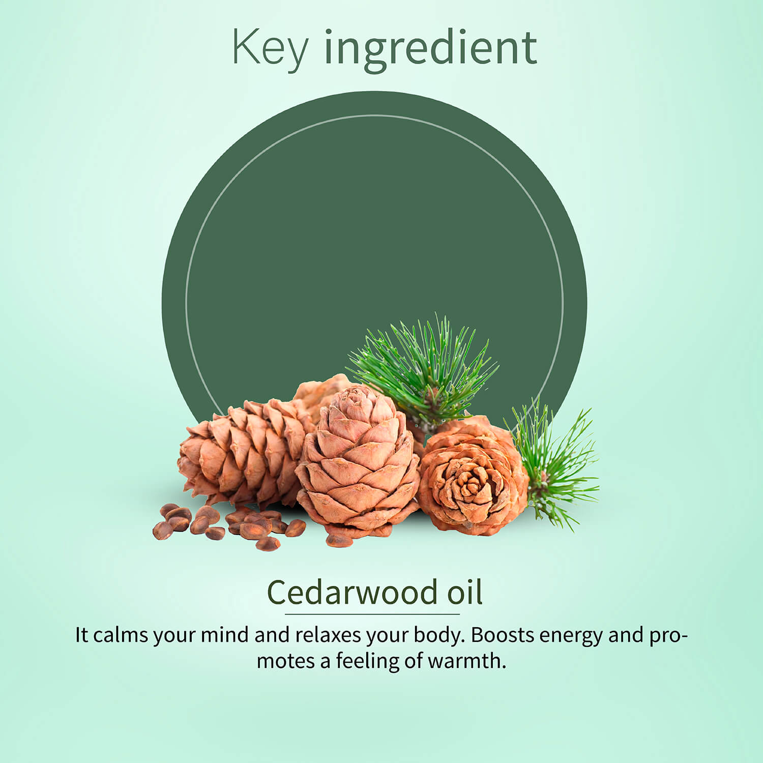 100% Pure Cedarwood Essential Oil | Therapeutic-Grade Warm Woody Aroma | Deep Relaxation, Stress Relief & Better Sleep | Perfect for Night Aromatherapy | 15 ml 15ml