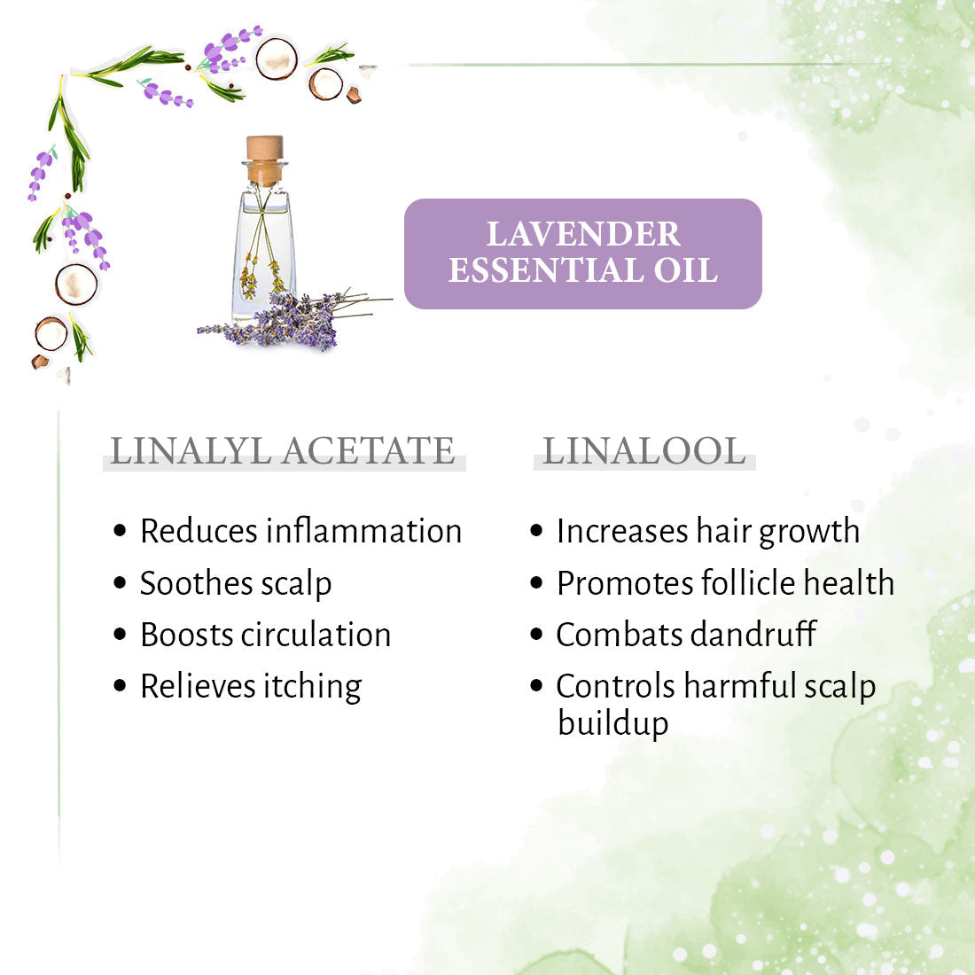 1% Lavender with 99% Coconut Oil - Cold Pressed Virgin Oil, Nourishes, Moisturizes, Promotes Hair Growth & Soothes Scalp Inflammation 200ml