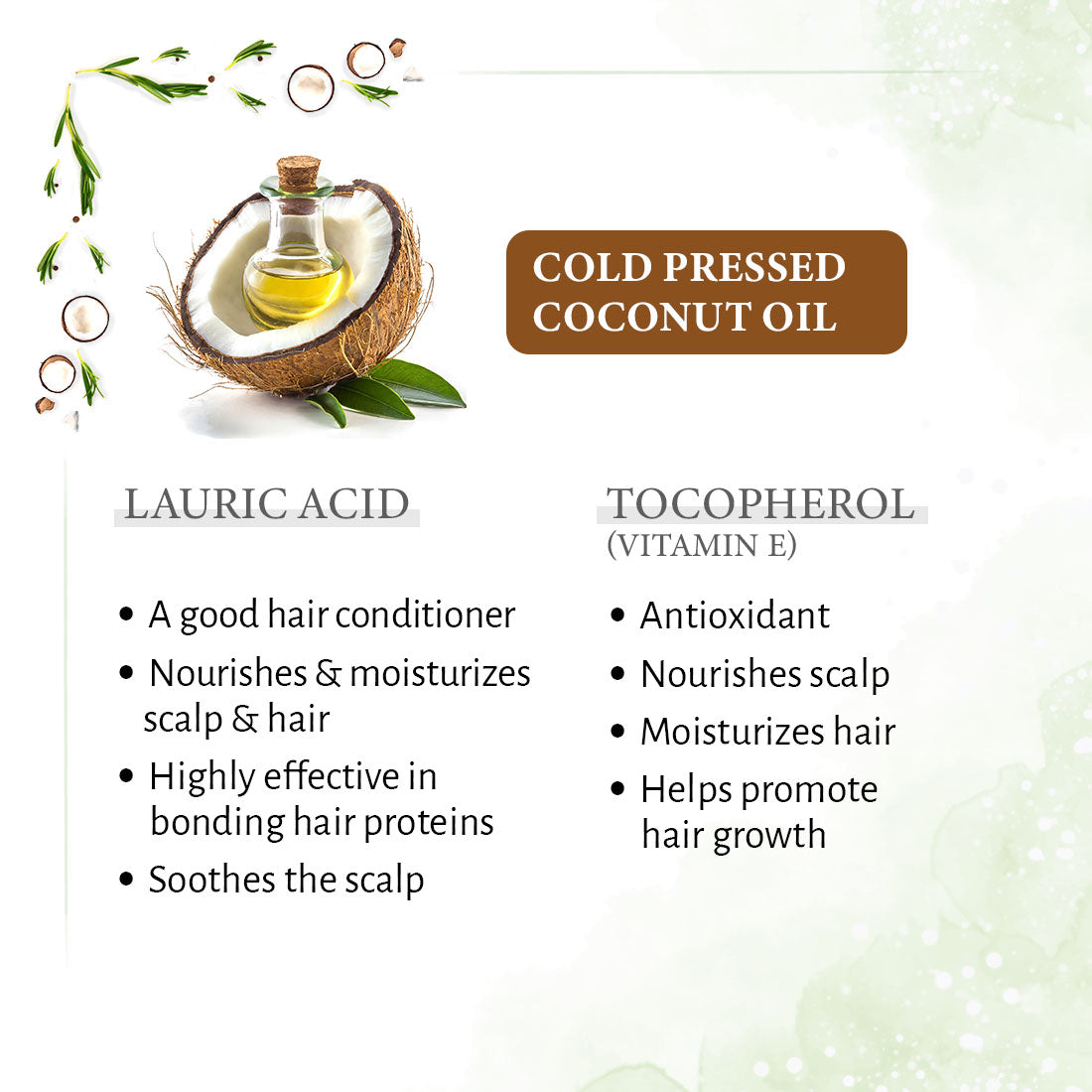 1%  Rosemary with 99% Coconut Oil – Cold-Pressed, Promotes Hair Growth, Blocks DHT & Controls Hair Fall 200ml