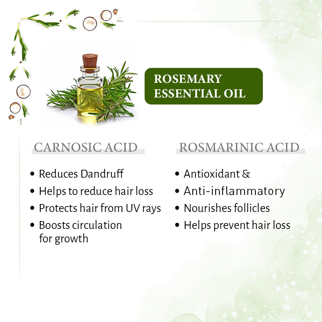 1%  Rosemary with 99% Coconut Oil – Cold-Pressed, Promotes Hair Growth, Blocks DHT & Controls Hair Fall 200ml