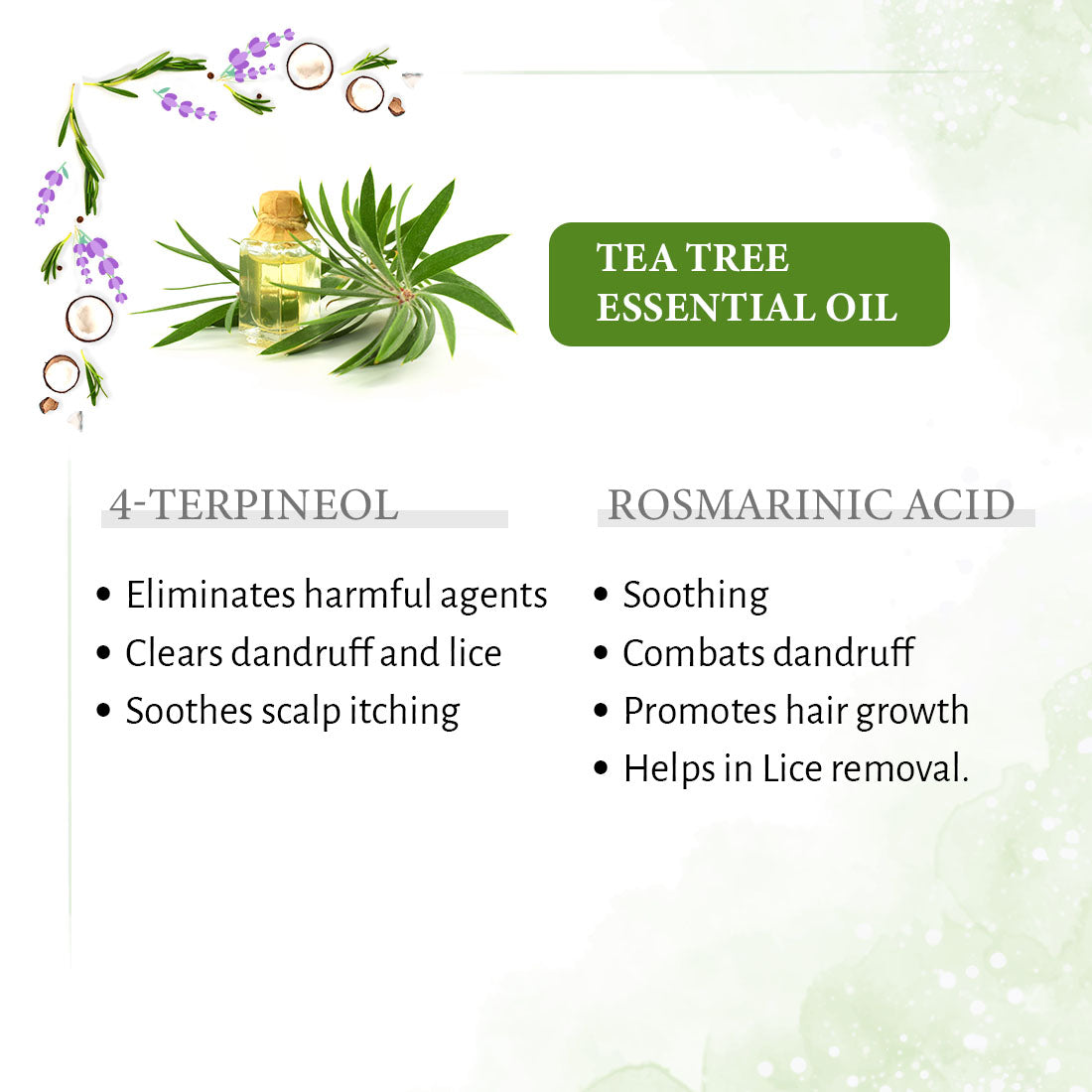 1% Tea Tree & 99% Coconut Oil – Cold Pressed, Promotes Hair Growth, Controls Hair Fall, Dandruff & Lice, Soothes Itching 200ml