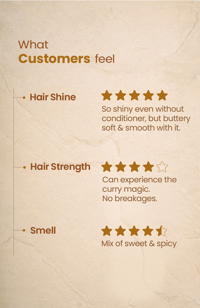Anti-frizz-Curry Cider Navdha Shampoo 250ml x 2個セット