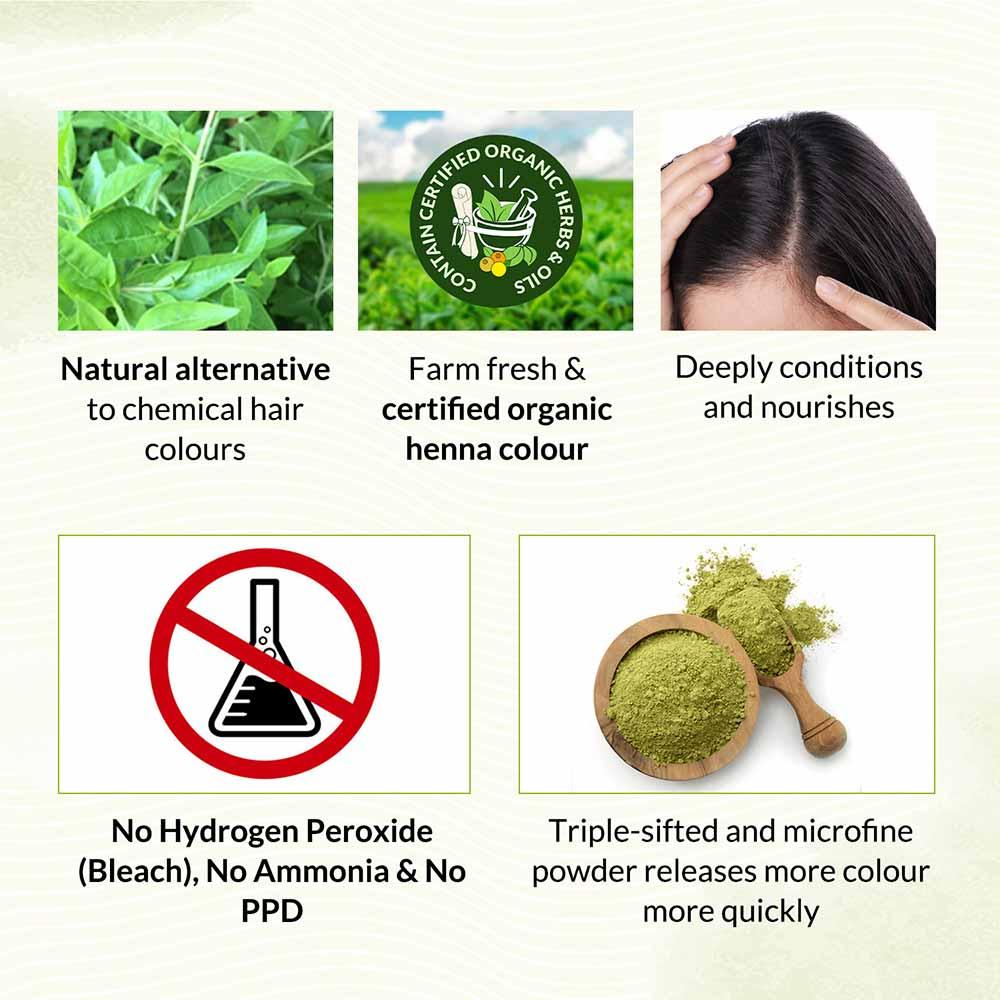 Bio Organic Dark Brown Henna Hair Colour For Early Grey Hair Coverage - 100gm 100g