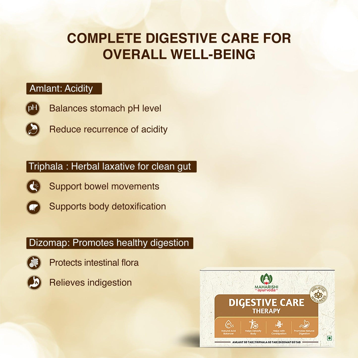 Digestive Care Therapy – Ayurvedic Formula for Gut Health