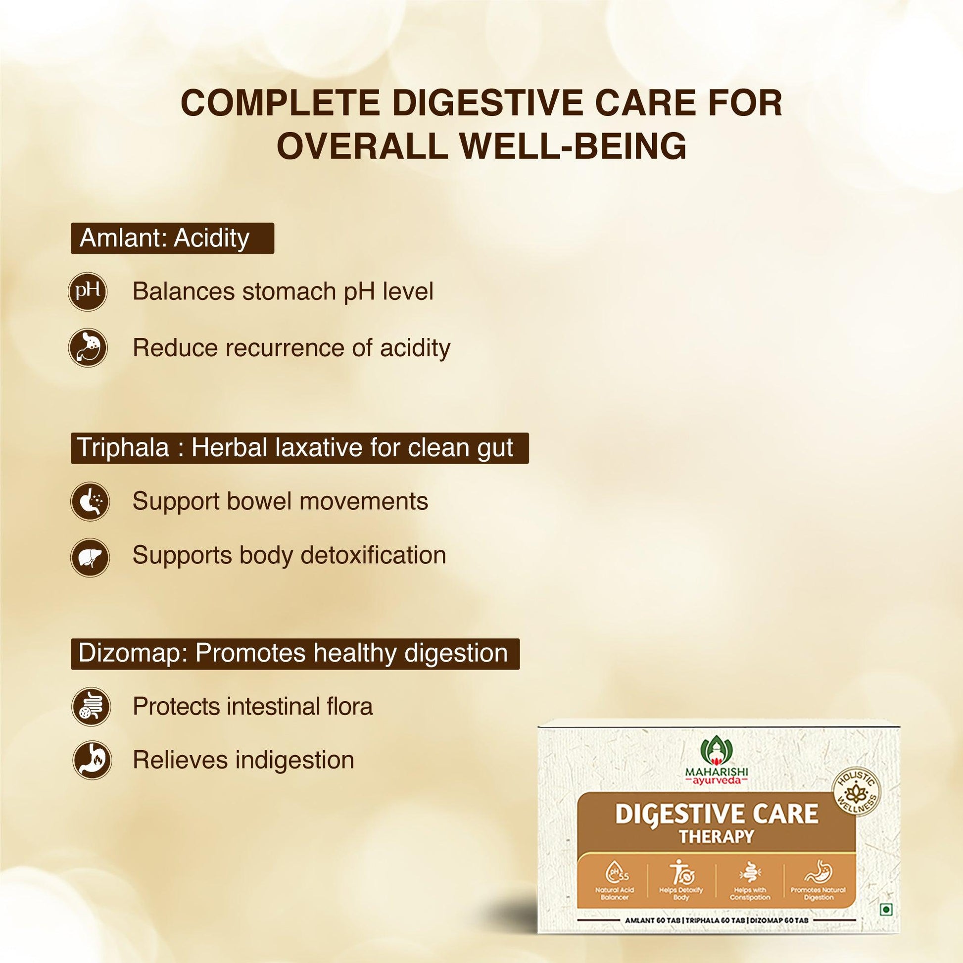 Digestive Care Therapy – Ayurvedic Formula for Gut Health
