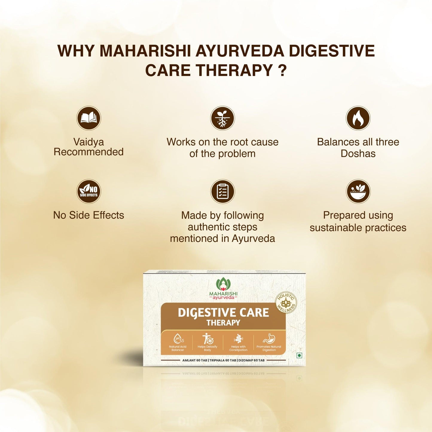 Digestive Care Therapy – Ayurvedic Formula for Gut Health