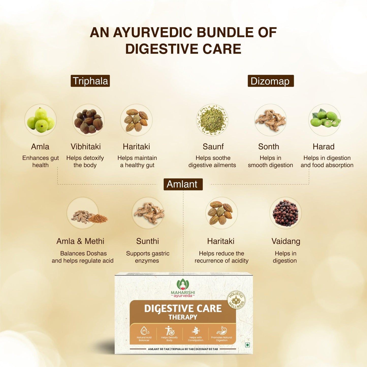 Digestive Care Therapy – Ayurvedic Formula for Gut Health