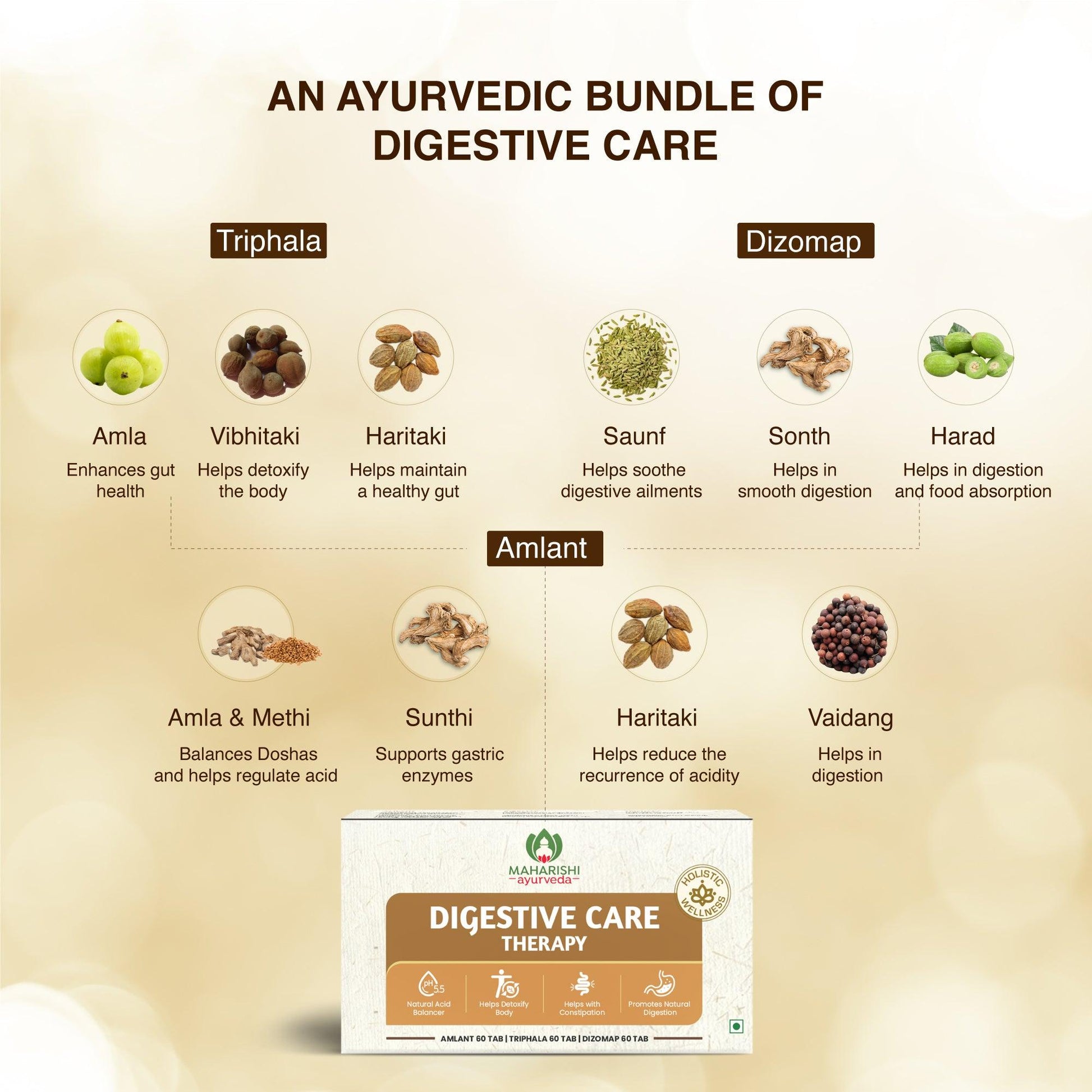 Digestive Care Therapy – Ayurvedic Formula for Gut Health
