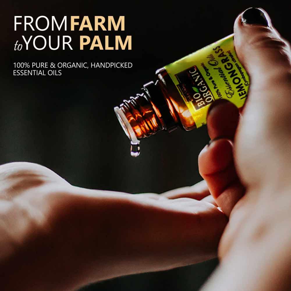 Essential Oils Gift Pack - Pack of 6 (10ml each) 10ml