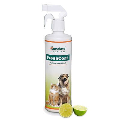 【Himalaya】 FreshCoat｜フレスハクオアト