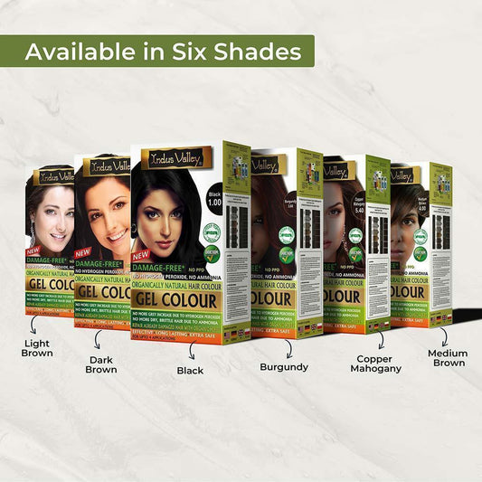 【Indus Valley】 Natural Hair Colouring Kit - Festive Gifting Pack｜ナチュラル ヘアカラーリングキット フェスティブギフトパック｜ジェルヘアカラー＋カラープロテクティブシャンプー＋ヘアウルティマスパ（3点入り）｜Burgundy（バーガンディ）