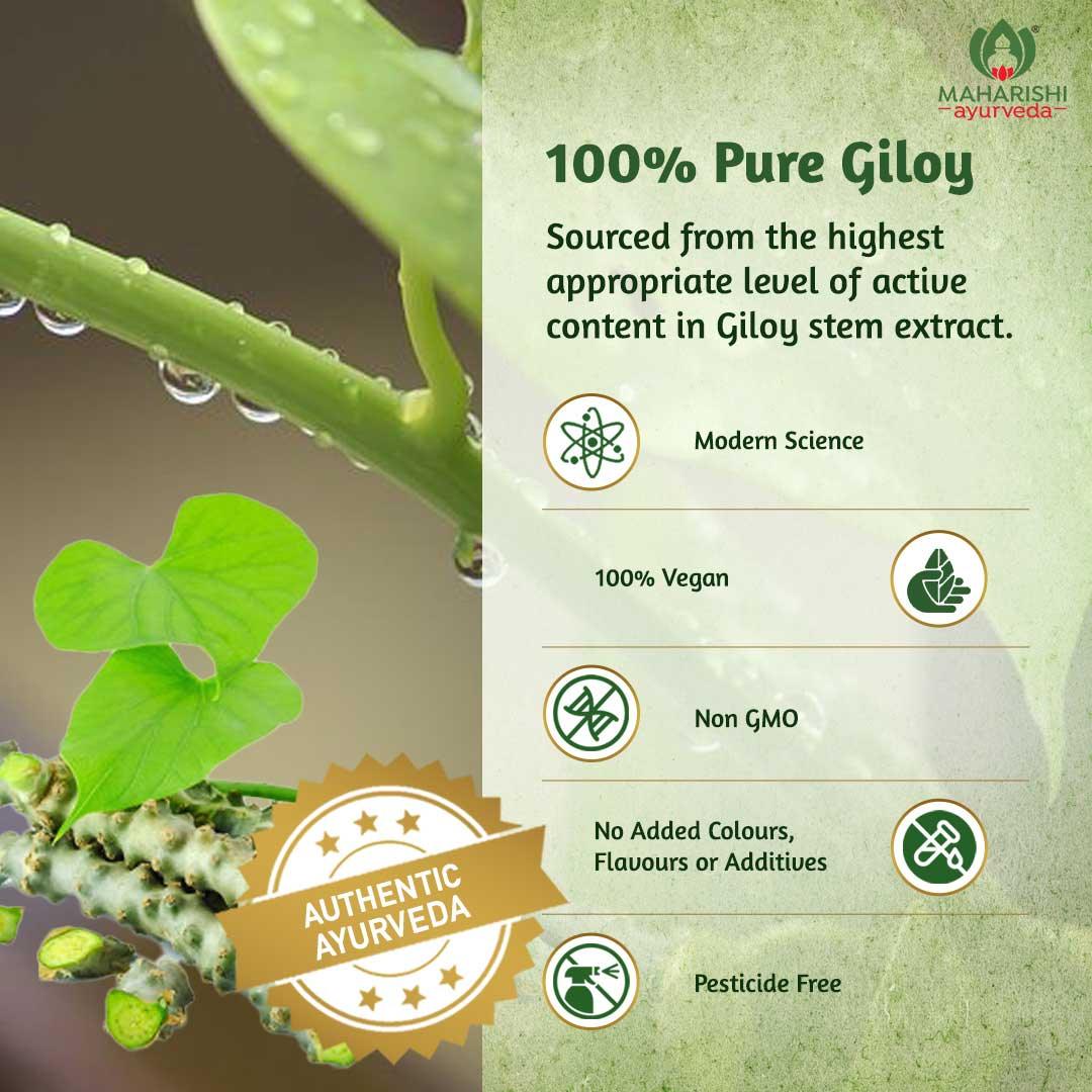 Giloy Ghan Vati Tablets