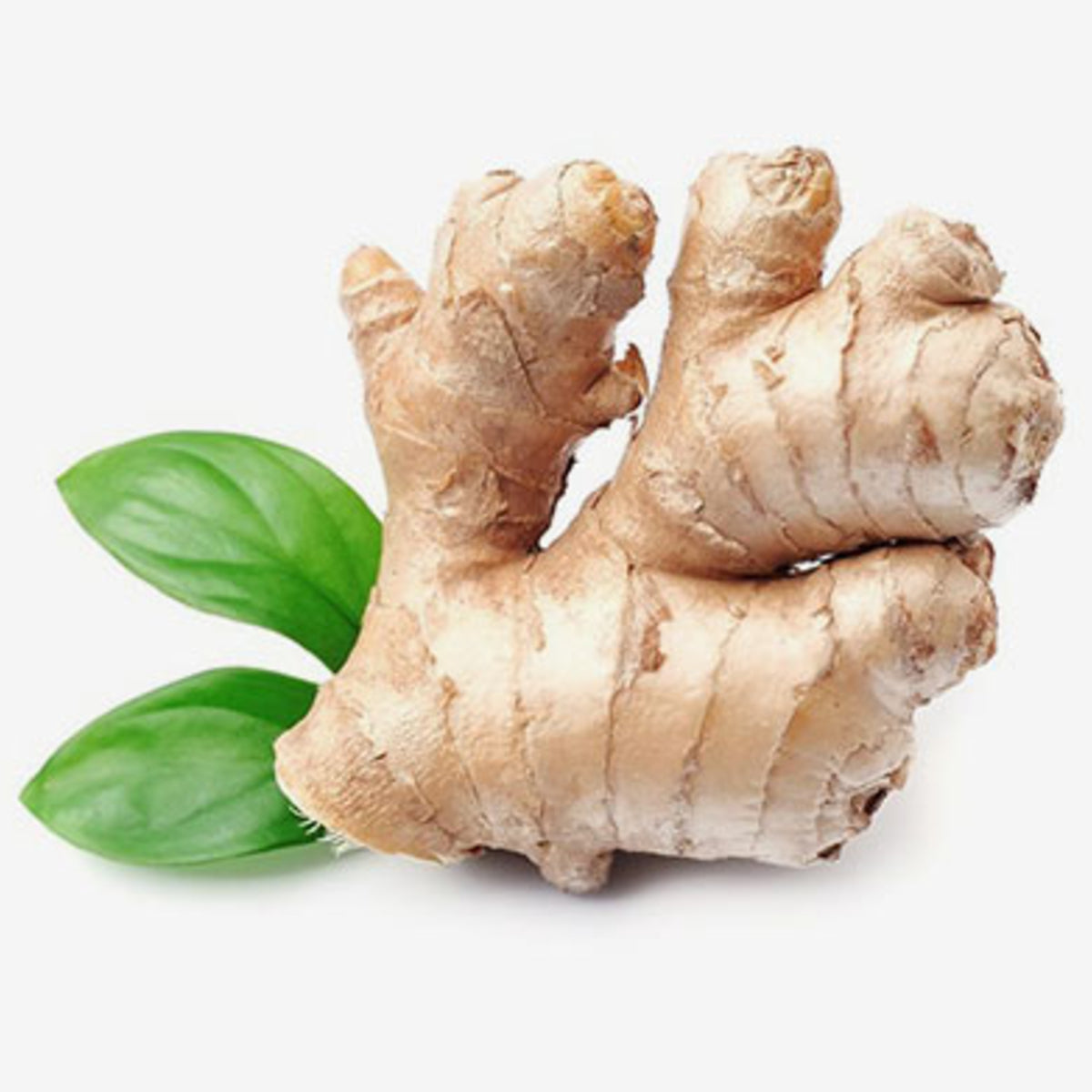 Ginger Extract Powder – 250g 250g