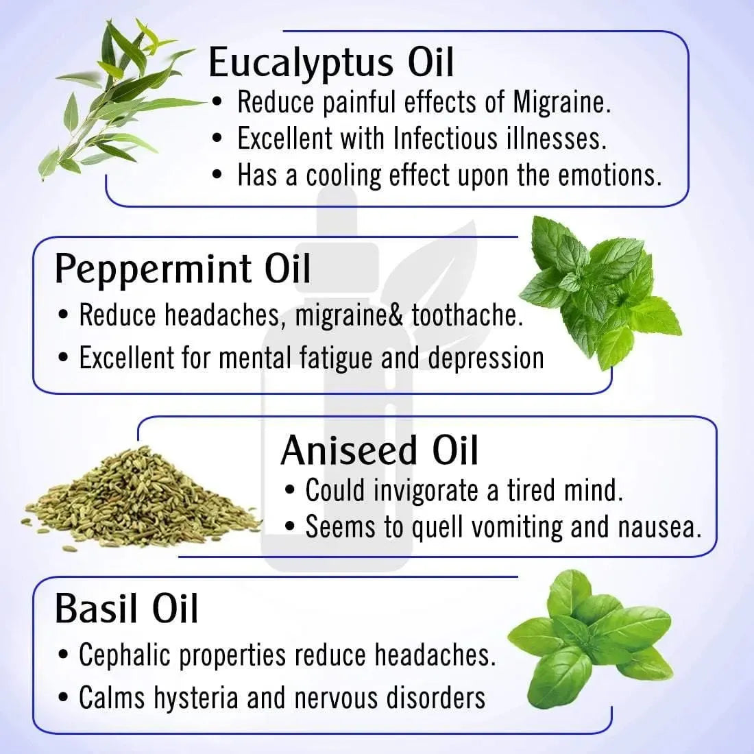 Graine Out-Migraine, Headache, Sinus, Relief Natural Therapeutic Essential Oil Blend of Aniseed & Neroli 10ml 10ml