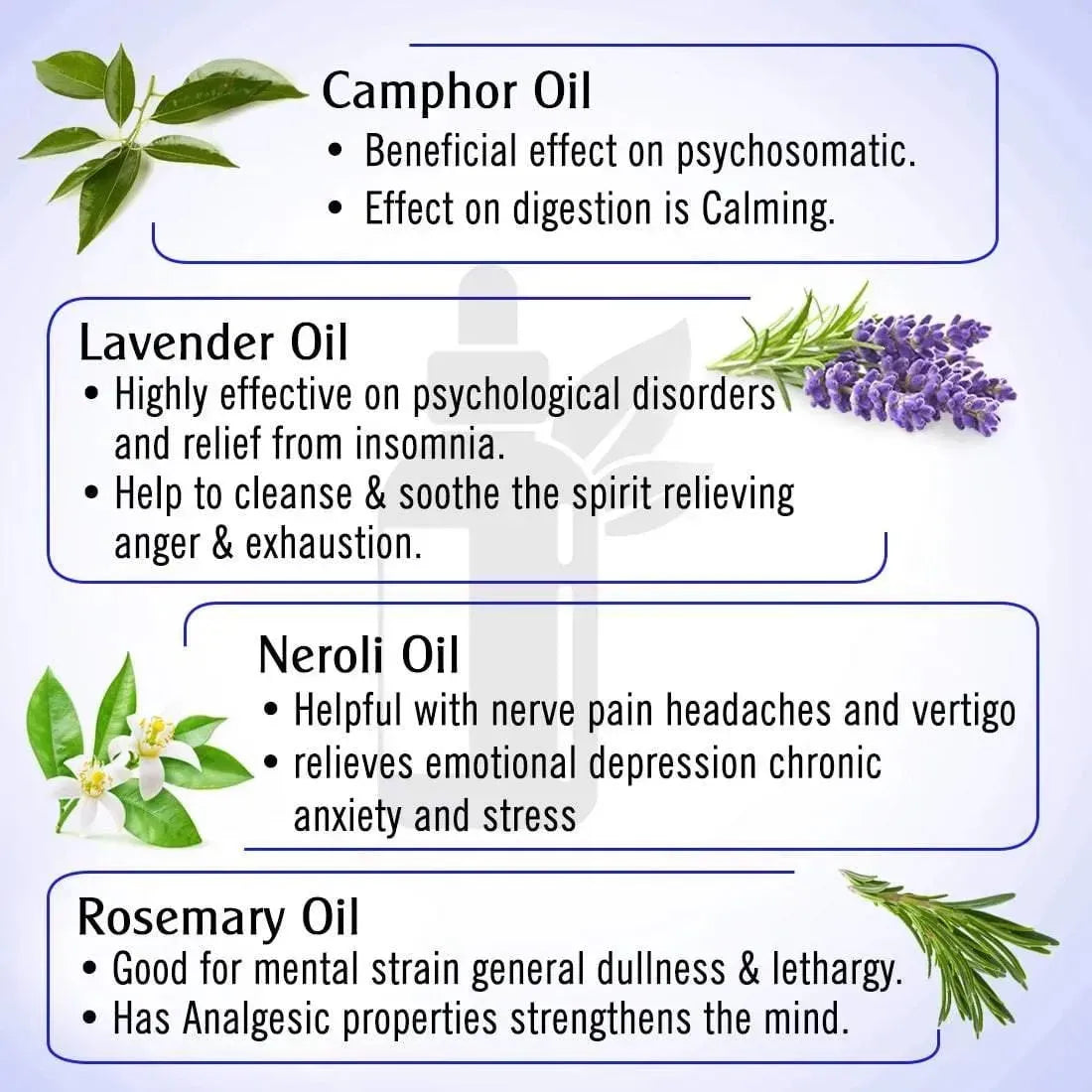 Graine Out-Migraine, Headache, Sinus, Relief Natural Therapeutic Essential Oil Blend of Aniseed & Neroli 10ml 10ml
