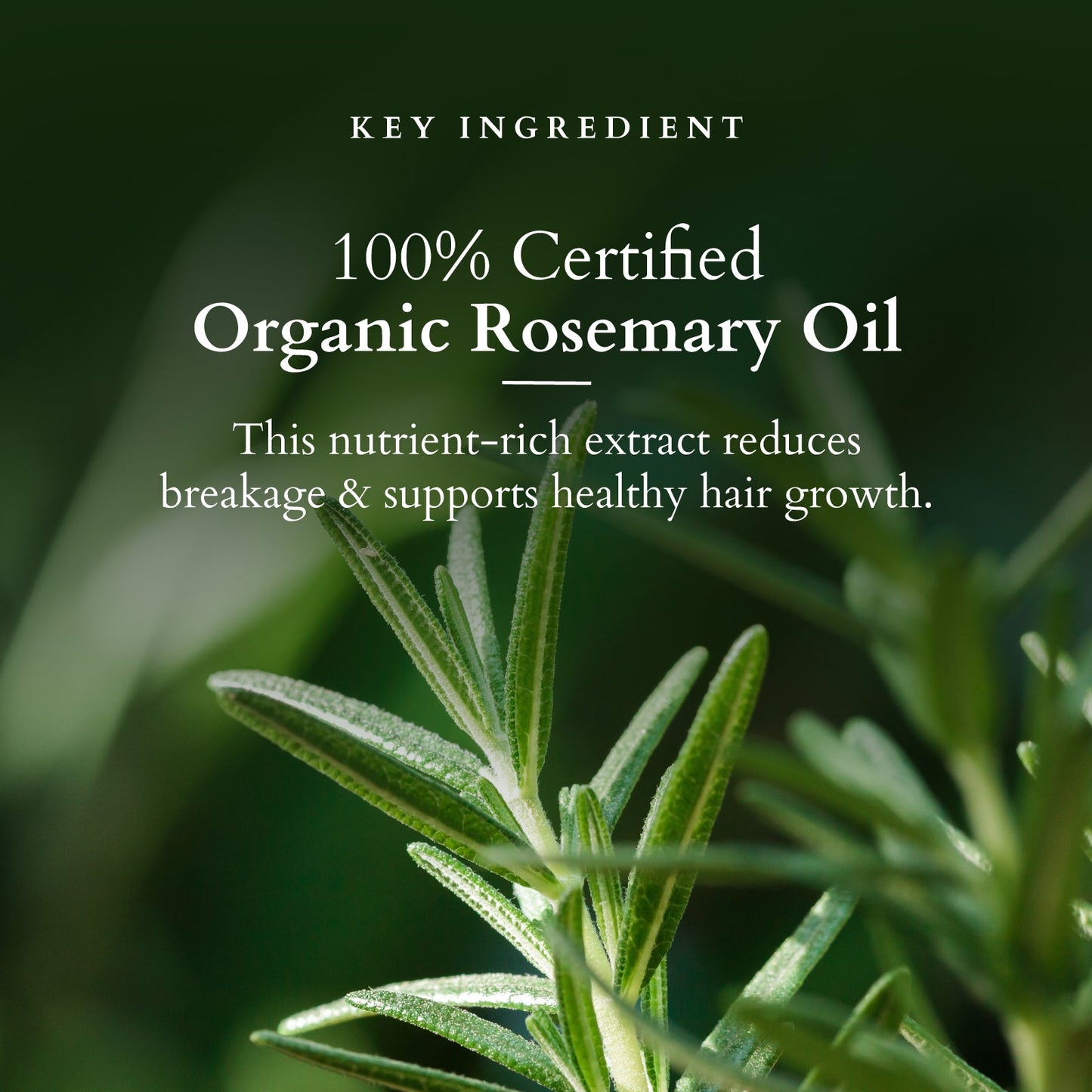 Organics+ Hair Fall Control Conditioner 