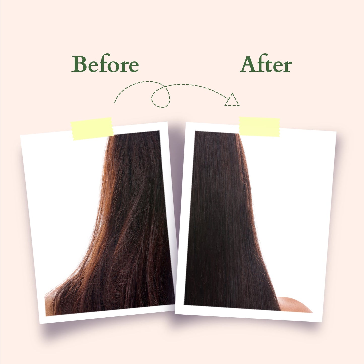 Organics+ Hair Fall Control Conditioner 