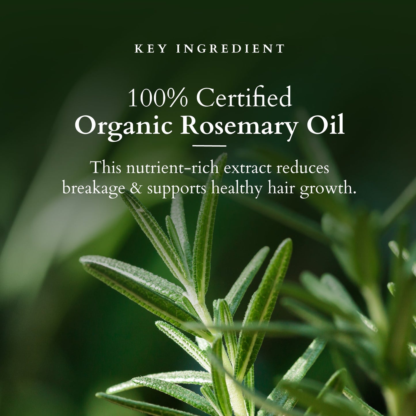 Organics+ Hair Fall Control Revival Mask 