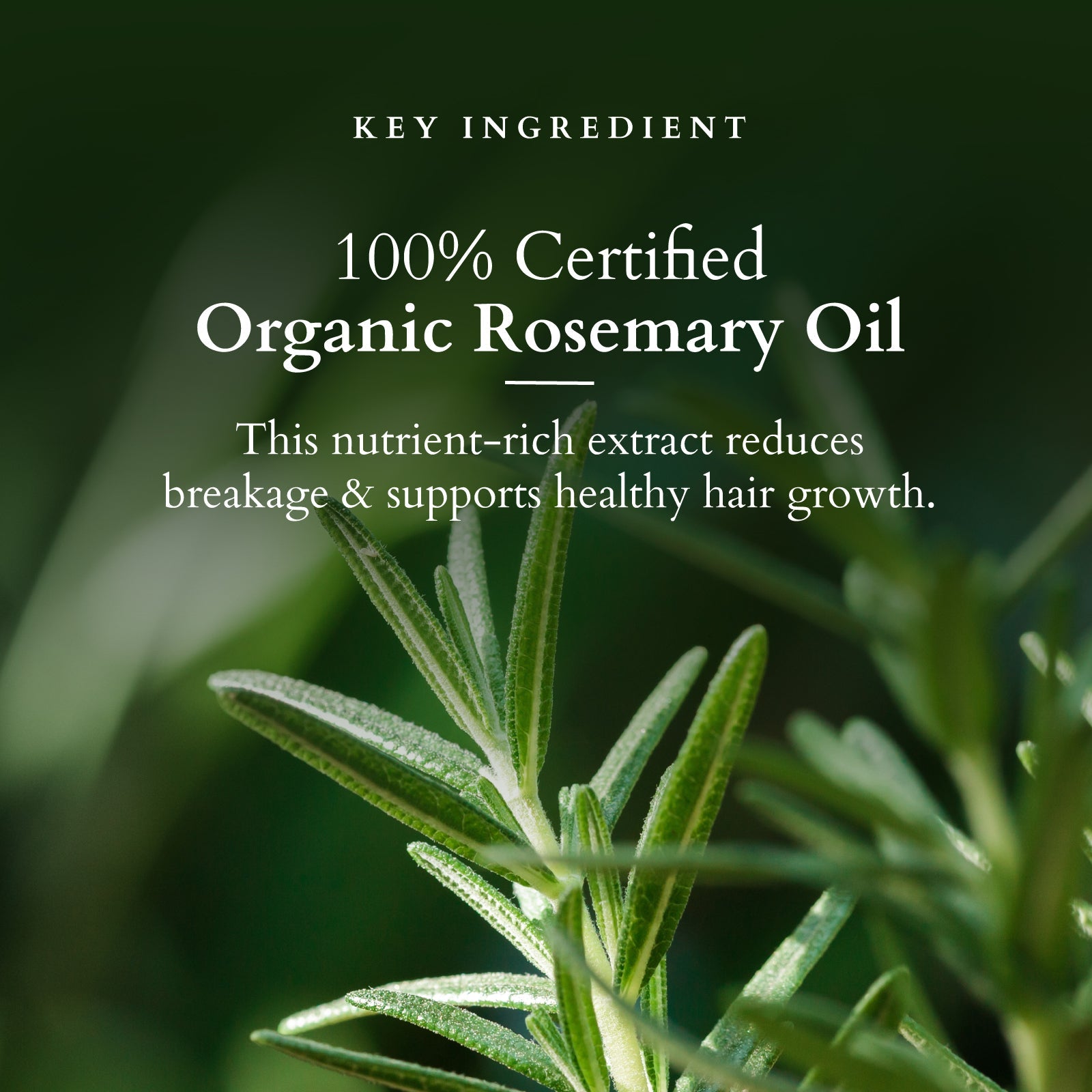 Organics+ Hair Fall Control Revival Mask 