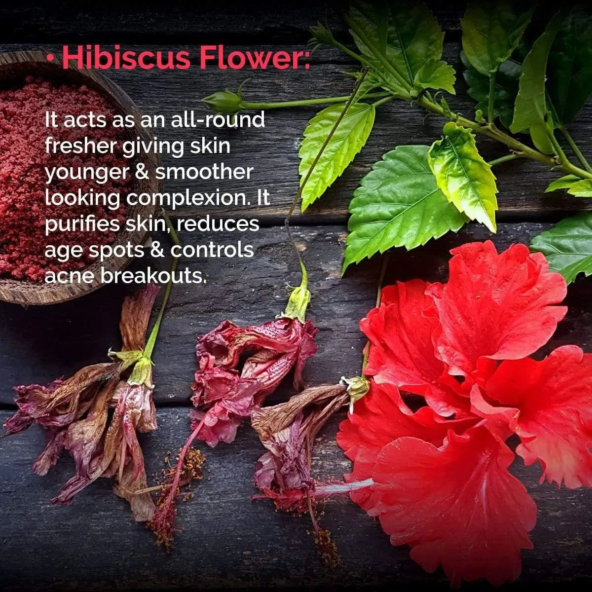 Hibiscus Replenishing Hydra 3-In-1 Facial Sheet Mask, Cleanser + Mask + Overnight Serum, Enriched with Hyaluronic Acid & Vitamin E Pack of 6
