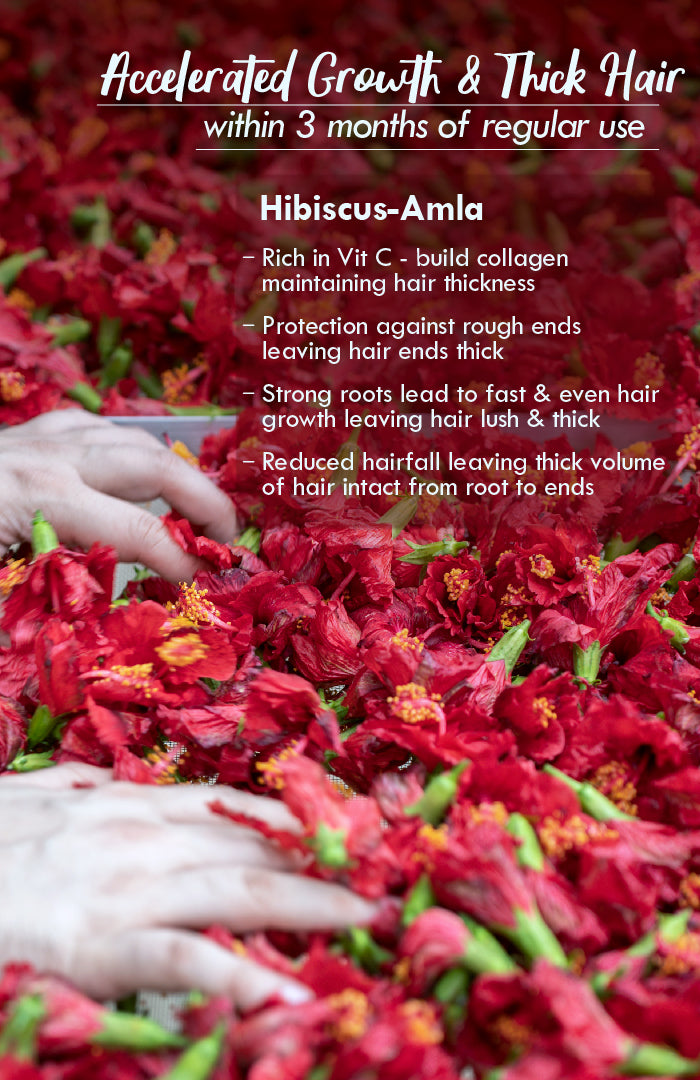 Hibiscus Amla DASABUTI Winter Hair Oil 100ml