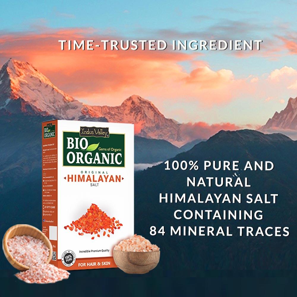 Bio Organic Original Himalayan Salt - 250gm 250g