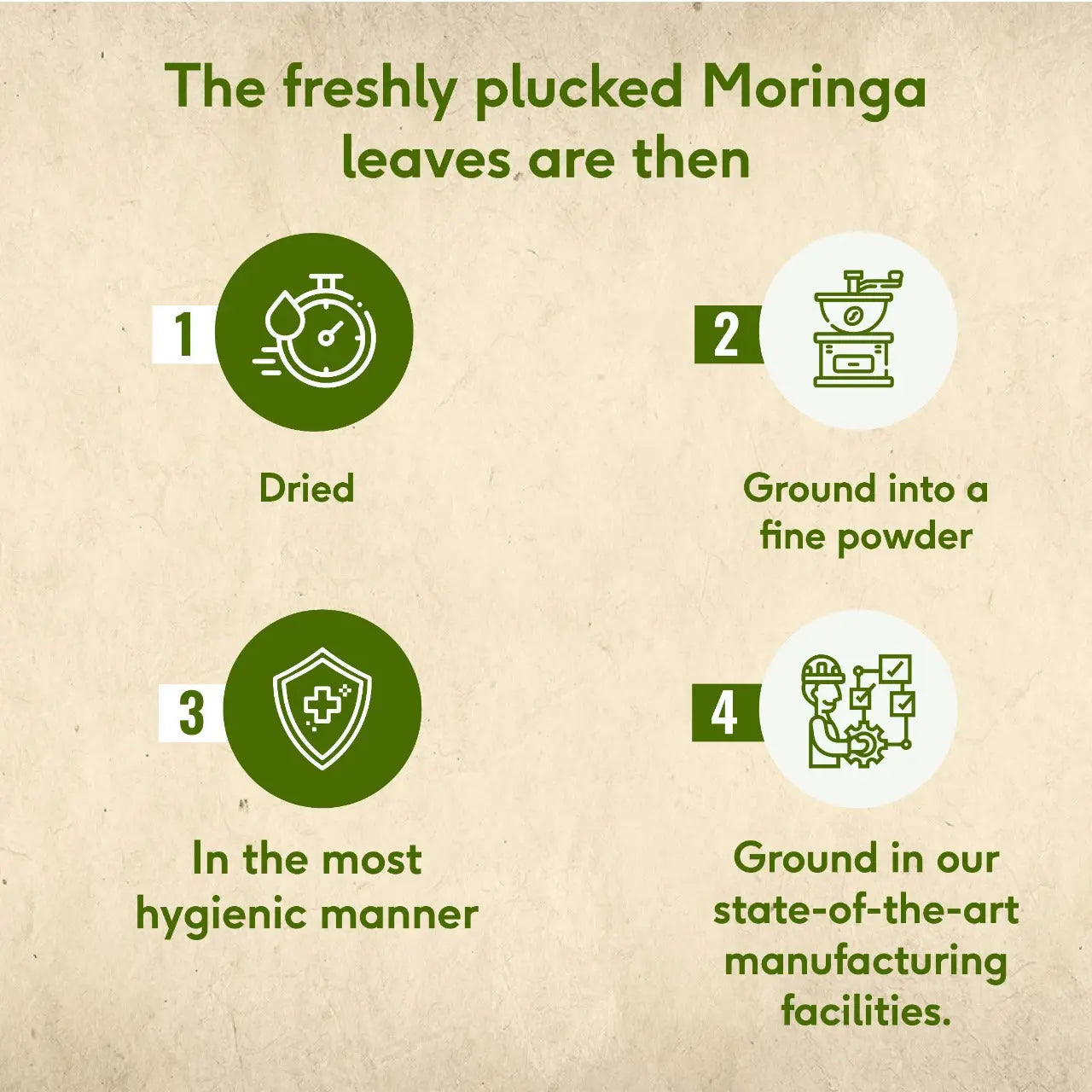 Moringa Powder, 100 g 100g