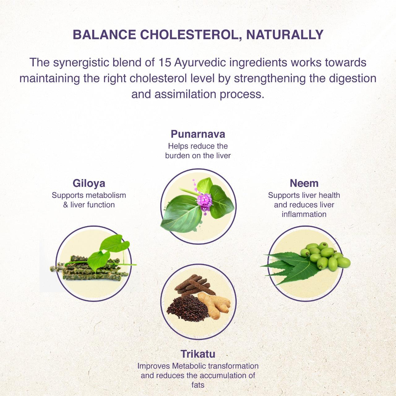 Lipomap - Natural Remedy for Cholesterol Management
