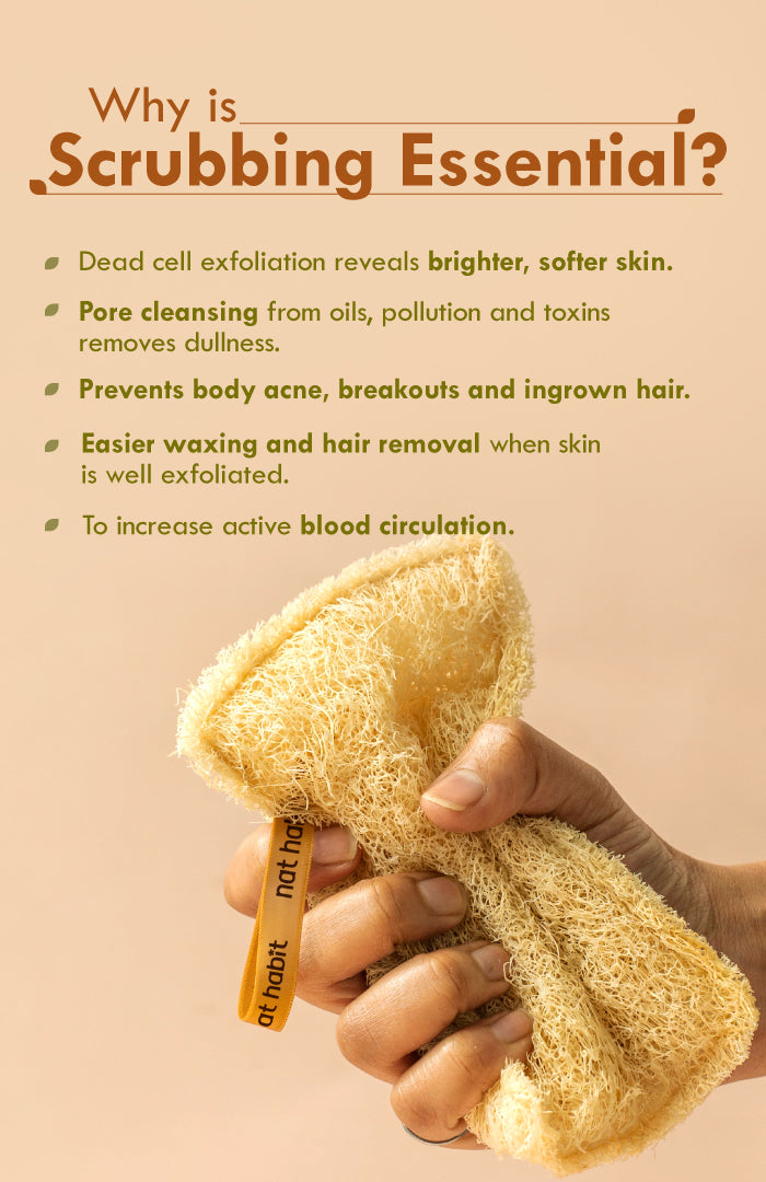 Sun Dried Loofah - Twin Pack 2個パック
