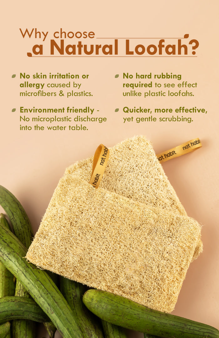 Sun Dried Loofah - Twin Pack 2個パック
