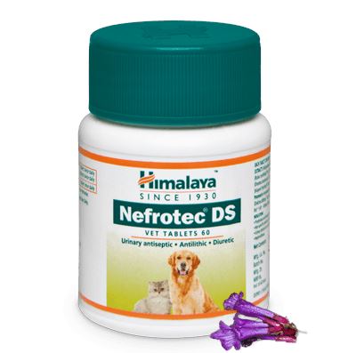 Nefrotec DS Vet Tablets 60 Tablets