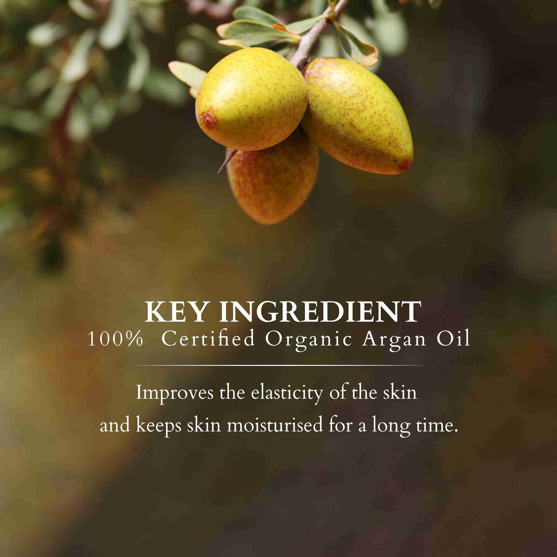 Organics+ Mystic Brilliance Body Lotion SPF 20 