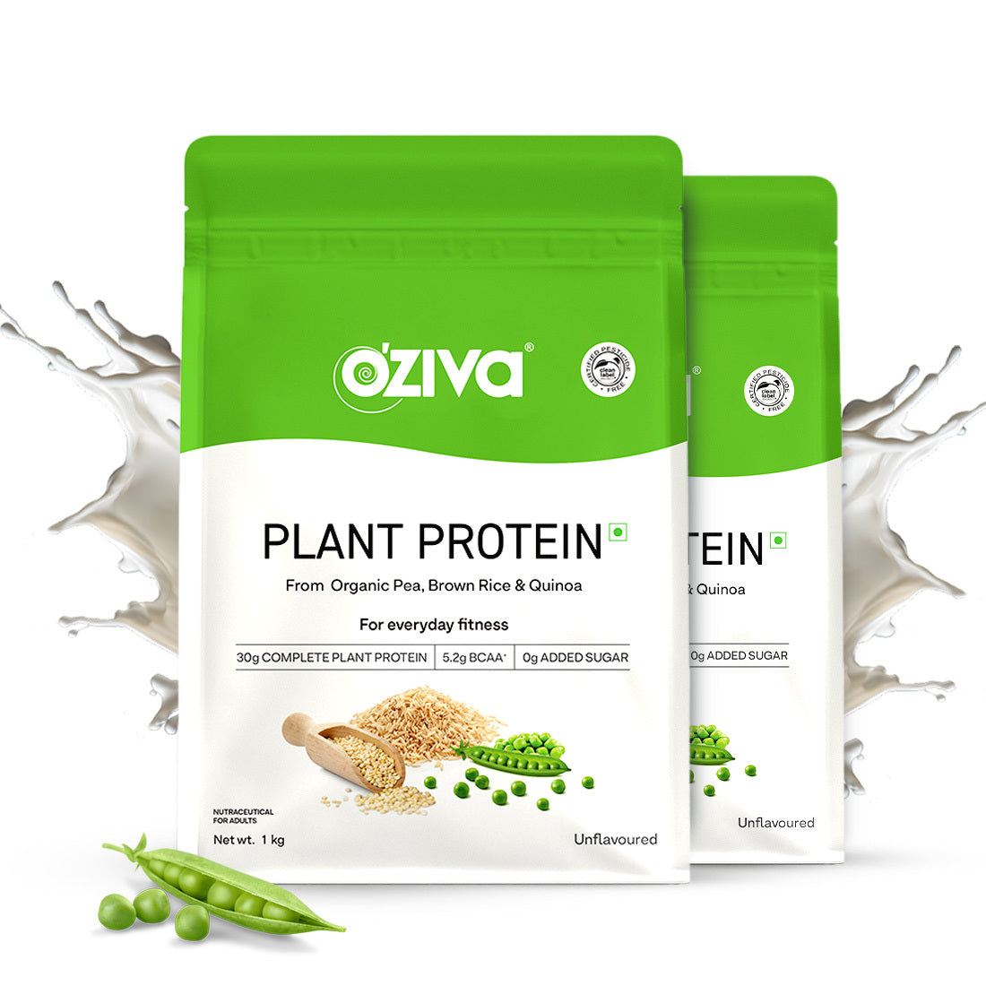 Plant Protein 500gm
