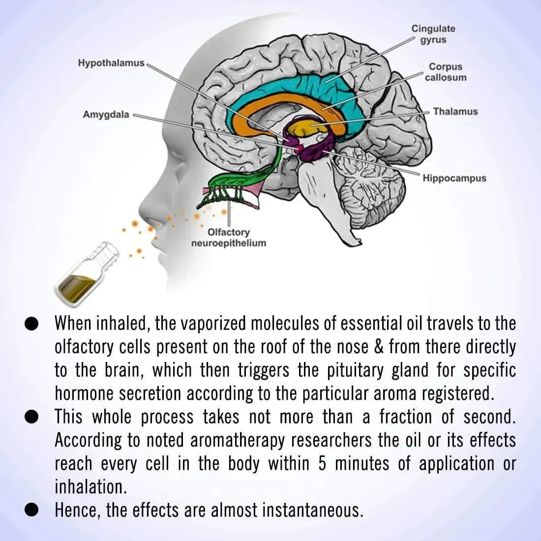 Peace - Tension & Stress Reliever 10ml
