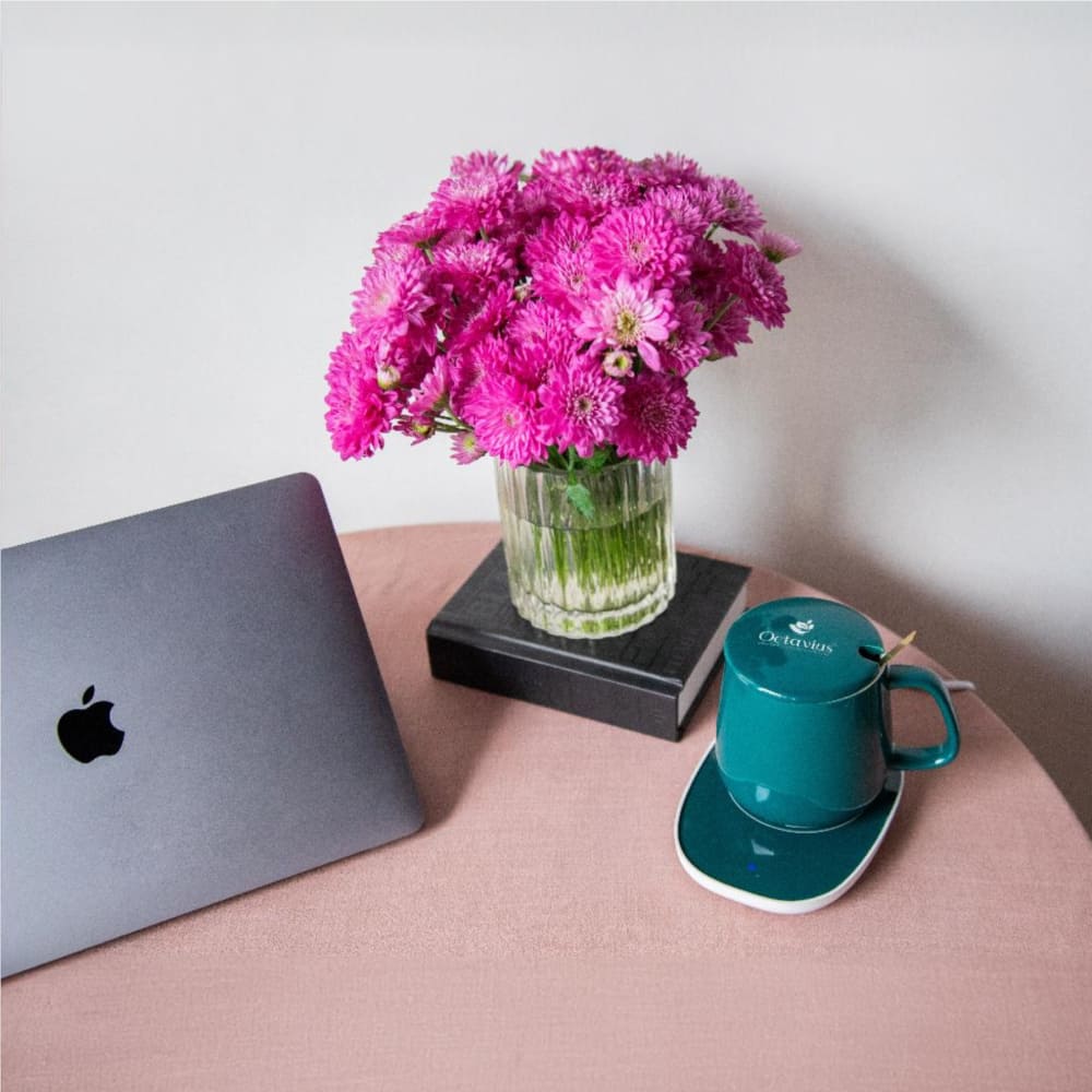 Ceramic Coffee Tea Mug Set with Smart Heating Pad- 300 ML 300ml