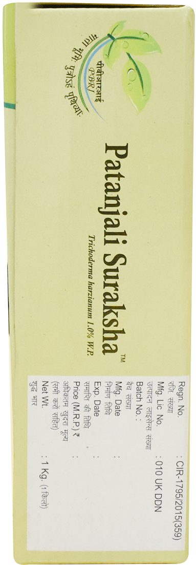 Patanjali Suraksha