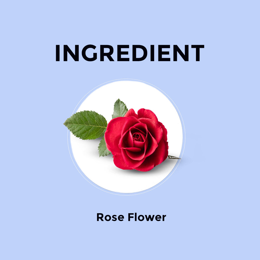 Rose Buds Herbal Tea  - 30g | Pack of 2 30G