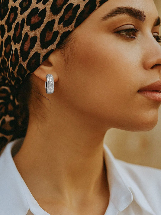 American Diamond Zirconia Hoop Earrings フリーサイズ
