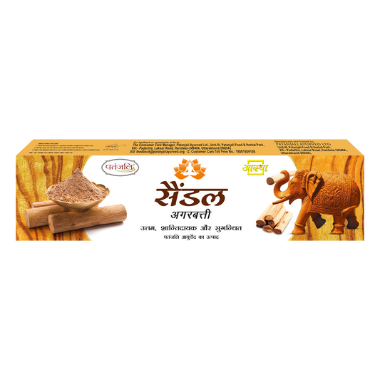 Aastha Agarbatti Sandal (150 g) 16g