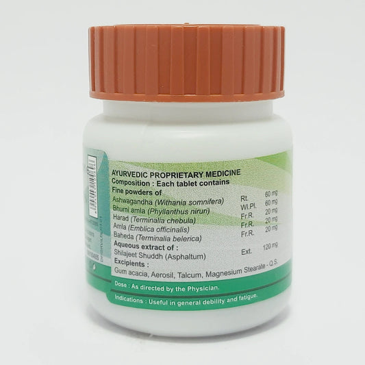 Divya Shilajeet Rasayan Vati (40 Gram)