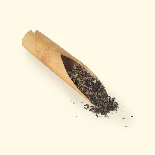 Tea Essentials - One Tulsi Green Tea Of  Your Choice, An Infuser & Honey Tulsi green tea